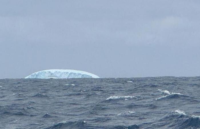 Vendée Globe. „Bedrohlich und beängstigend“, „angespannt“: Kapitäne stehen vor der Herausforderung