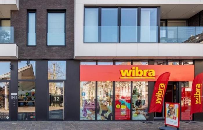 Ein neuer Konkurrent von Action und Lidl kommt in Frankreich an: Wibra