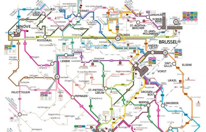 Entfernung von Bussen, neue Nummern, geänderte Fahrpläne …: große Veränderungen ab Januar auf dem De Lijn-Netz zwischen Brüssel und Brabant (INFOGRAFIEN)