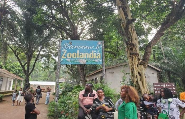 Eine echte „Touristenfalle“ in Brazzaville, die Kinder haben viel Spaß!