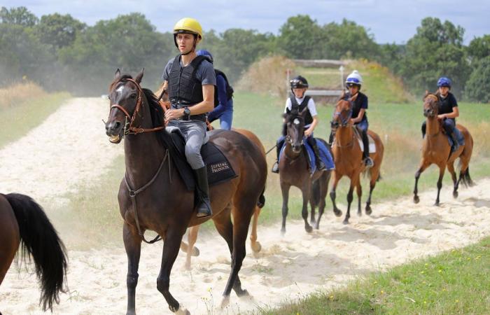 Ponyrennen: Das beste Reservoir an Golden Whips und Golden Stirrups, das es gibt?