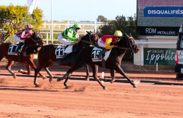 Freitag, 3. Januar 2025 in Cagnes-sur-Mer