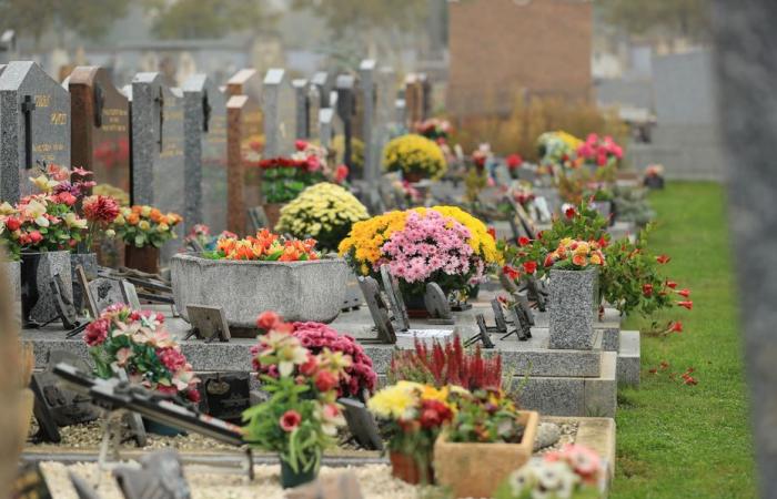 „Seit Anfang des Jahres befinden wir uns eindeutig in einem Höhepunkt der Todesfälle. Gestern hat es schon gut angefangen“