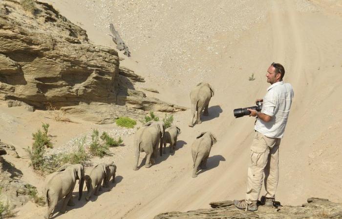 Die Tarnais am Ende der Welt: David Rey, Mazamétain, der in Namibia Safari-Fotograf wurde