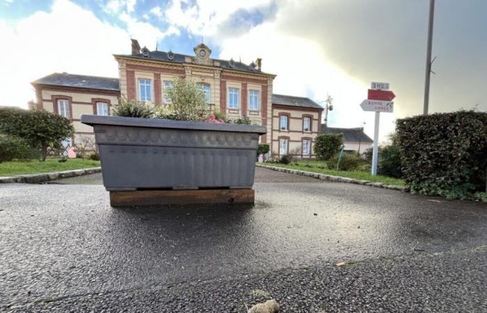 Wie diese Stadt in Seine-Maritime dem Hundekot den Kampf ansagt