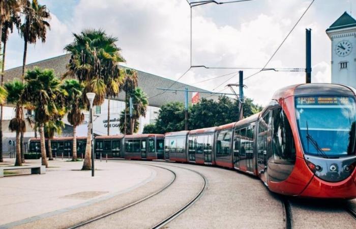 Casablanca: Gefängnis für zwei junge Menschen, denen Angriffe auf öffentliches Eigentum vorgeworfen werden