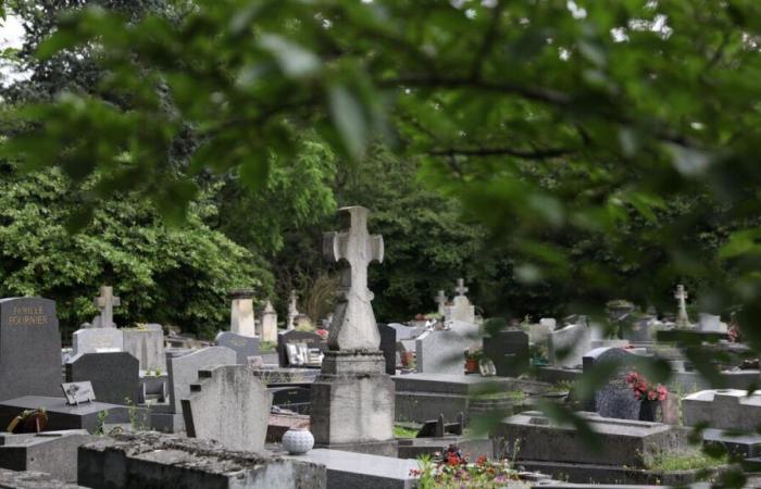 Warum es am 3. Januar in Frankreich mehr Todesfälle gibt als an anderen Tagen