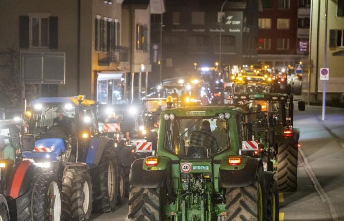 Landwirte sorgen sich im Jahr 2025 immer noch um ihr Einkommen