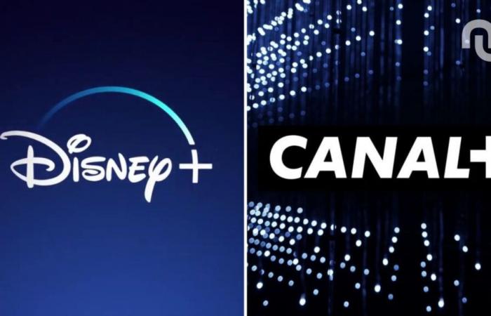 Bitte beachten Sie: Wenn Sie Disney+ über Canal+ abonniert haben, können Ihnen Gebühren berechnet werden