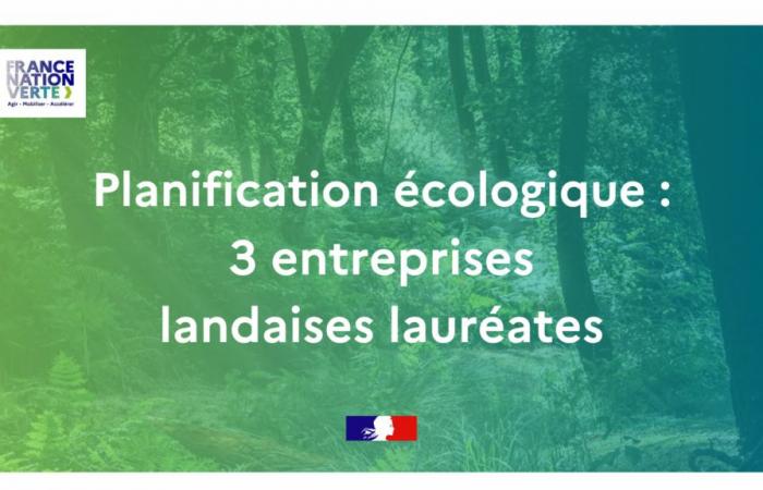 3 Landesunternehmen Gewinner des AAP Effektive Industrialisierung von Holzprodukten – Nachrichten – Nachrichten