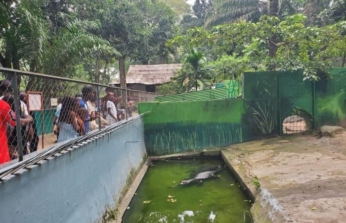 Eine echte „Touristenfalle“ in Brazzaville, die Kinder haben viel Spaß!