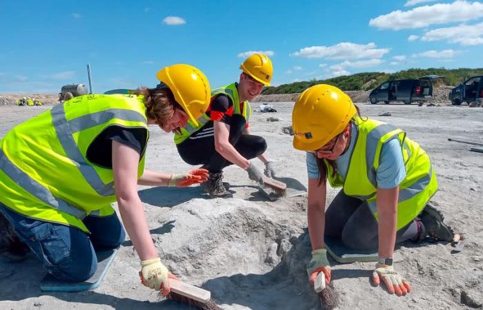 166 Millionen Jahre alte Dinosaurier-Fußabdrücke in Großbritannien entdeckt