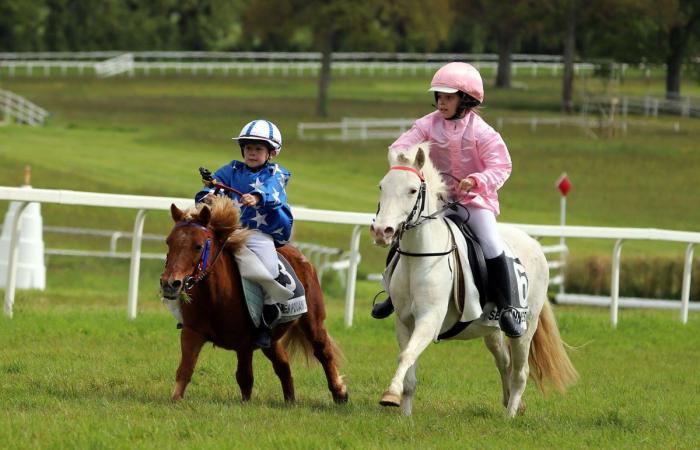 Ponyrennen: Das beste Reservoir an Golden Whips und Golden Stirrups, das es gibt?