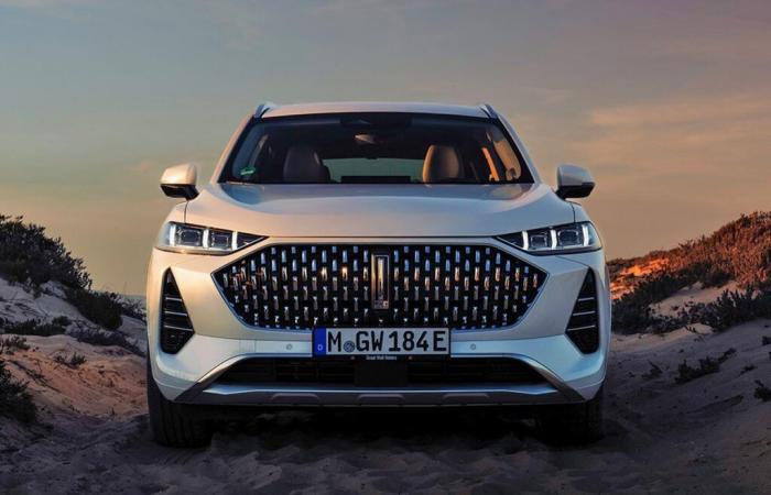 Dramatische Wendung: Hybrid-SUVs entthronen Elektrofahrzeuge im europäischen Luxus