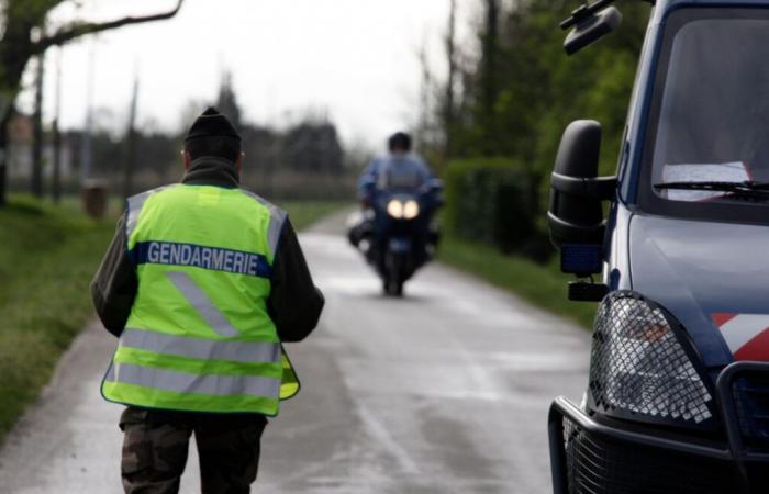 Zwei Leichen gefunden, wahrscheinlich die einer Mutter und ihres vermissten 8-jährigen Kindes