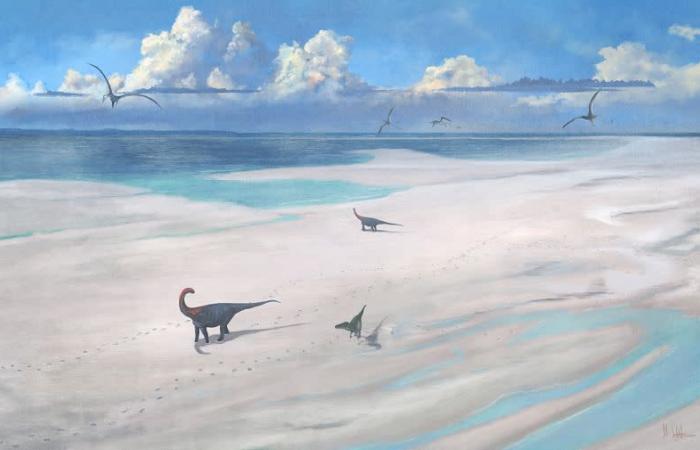 166 Millionen Jahre alte Dinosaurier-Fußabdrücke in Großbritannien entdeckt