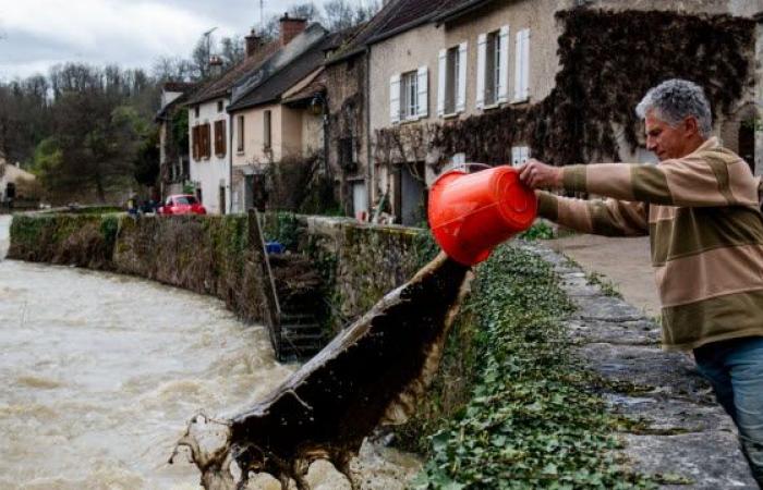 Côte-d’Or. Das Jahr 2024 aus Sicht unseres Fotografen