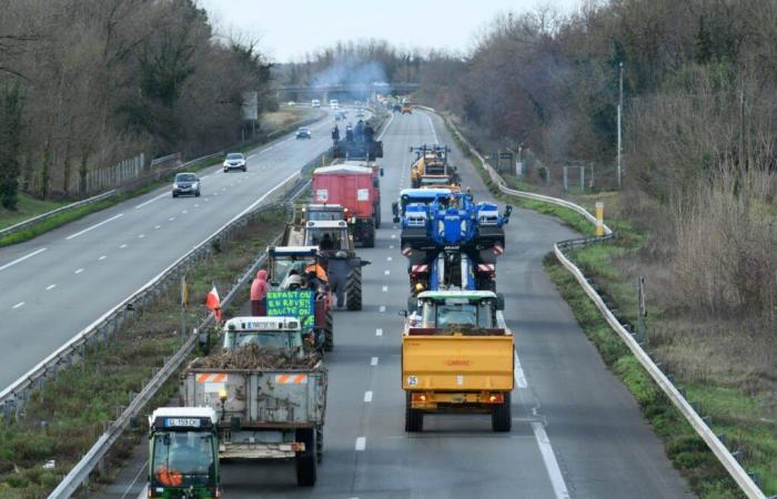 Lot-et-Garonne: Was Sie 2024 nicht verpassen sollten