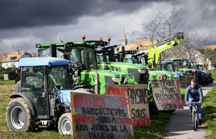 Schweiz: Landwirte sorgen sich weiterhin um Einkommen im Jahr 2025