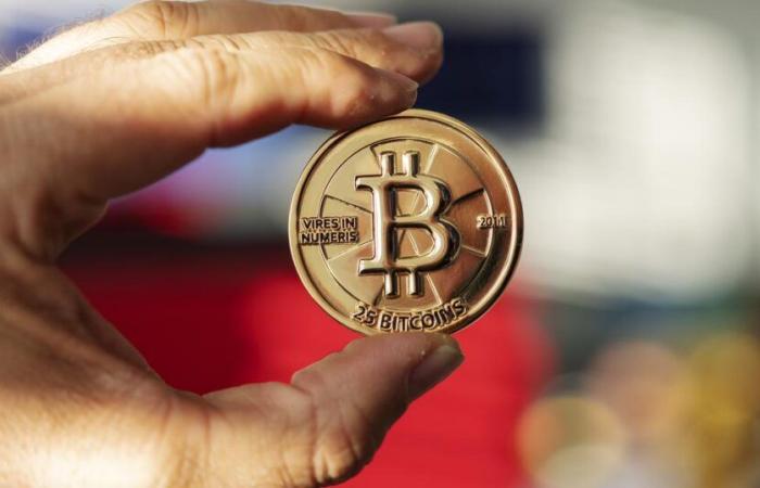 Sollten Schweizer Behörden in Bitcoin investieren? – rts.ch