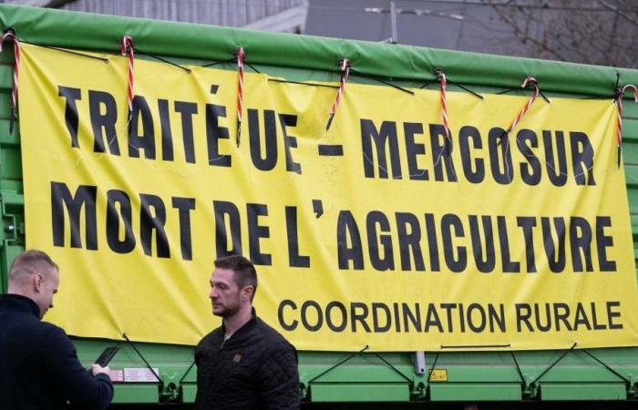 Wut der Landwirte: Die Koordinierung des ländlichen Raums droht ab Sonntag „auf Paris zuzustürmen“.