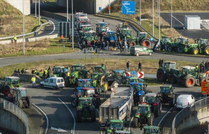 Ohne eine Antwort von François Bayrou bereiten sich die Landwirte darauf vor, „nach Paris zu gehen“