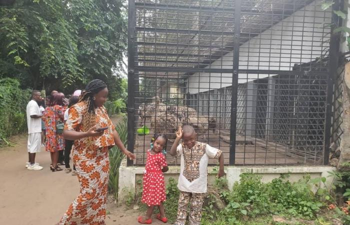 Eine echte „Touristenfalle“ in Brazzaville, die Kinder haben viel Spaß!