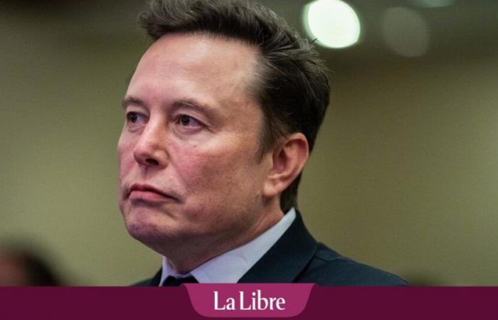 Elon Musk, Schattenpräsident