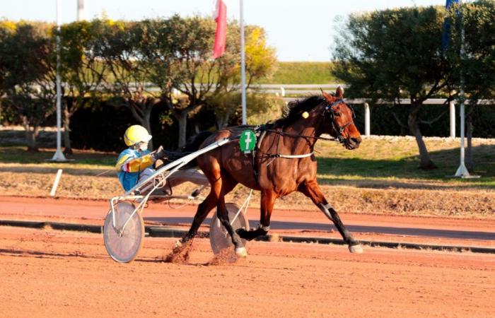 Silver Coast-Preis: Galie de Célinière war unnahbar