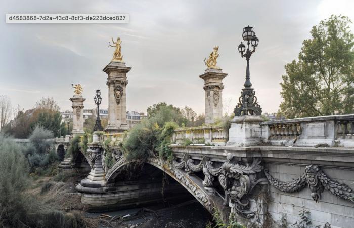 Letzte Tage, um diese kostenlose Fotoausstellung zu entdecken, die ein postapokalyptisches Paris vorstellt (dank AI)