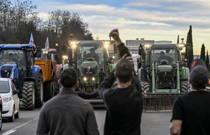 „Niemand nimmt Rücksicht auf uns“