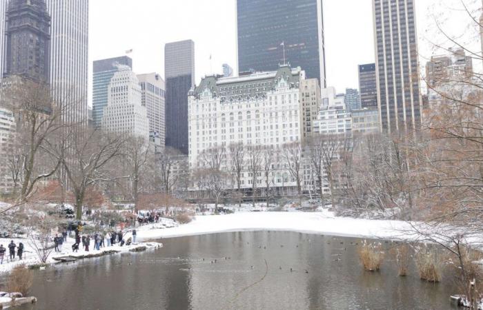 Ein schwerer Wintersturm bedroht New York und 55 Millionen Amerikaner