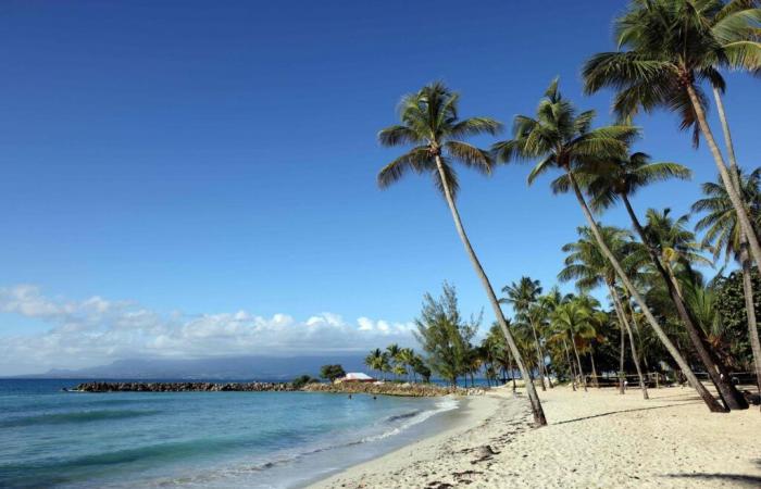 Sind Postkartenstrände in Guadeloupe dem Untergang geweiht?