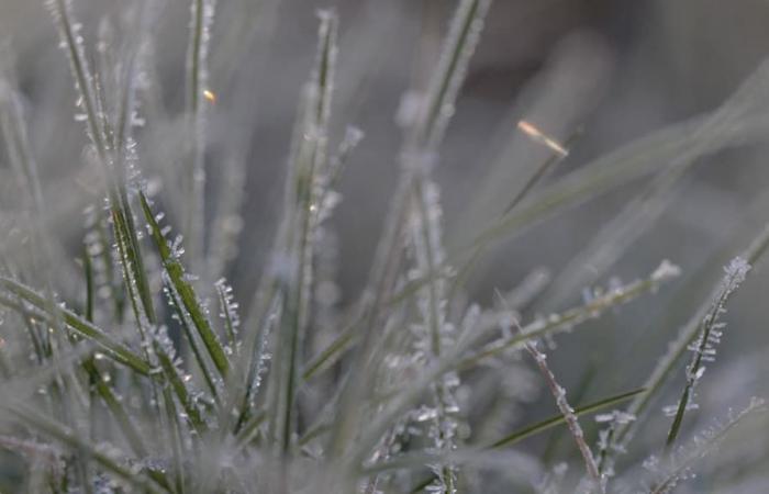 die extremen Temperaturen, die in der Nacht von Freitag auf Samstag in Frankreich gemessen wurden