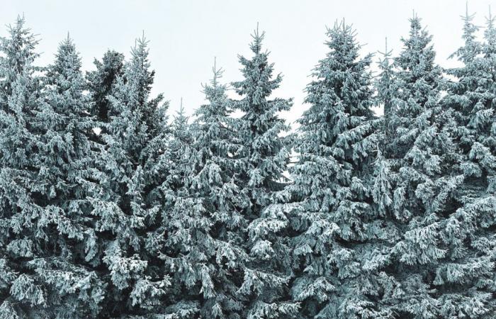 Kalt. Eine völlig sibirische Temperatur von -33,9°C, gemessen im Jura