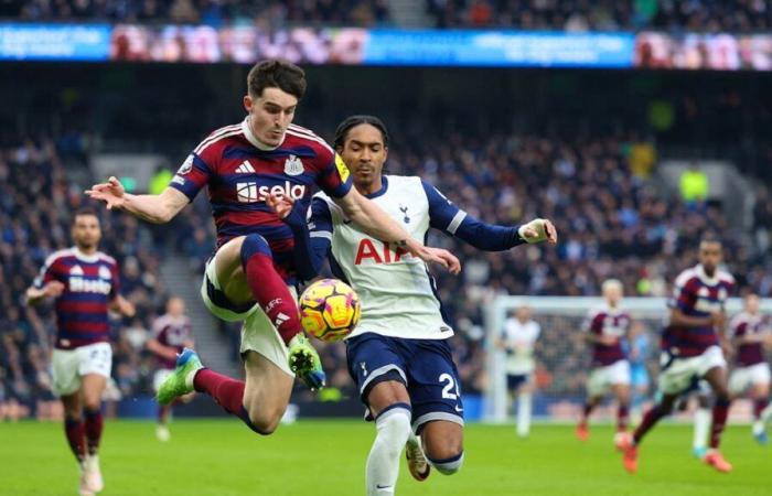 Newcastle drängt Tottenham und stürmt auf das Podium zu