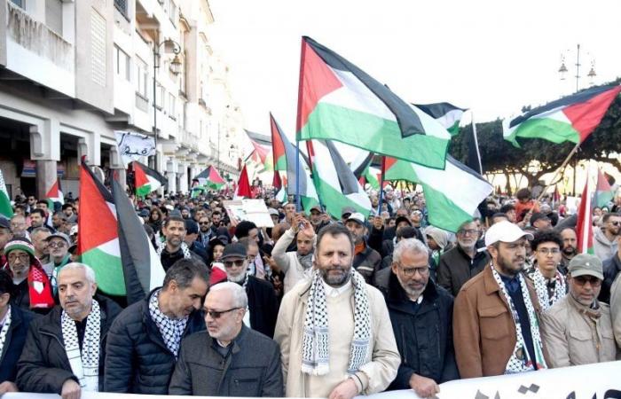 115 Proteste an einem Abend gegen israelische Gräueltaten in Gaza