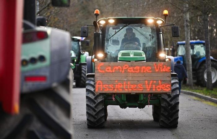 Die ländliche Koordination ruft für Sonntag, den 5. Januar, zu Demonstrationen „überall in Frankreich“ auf