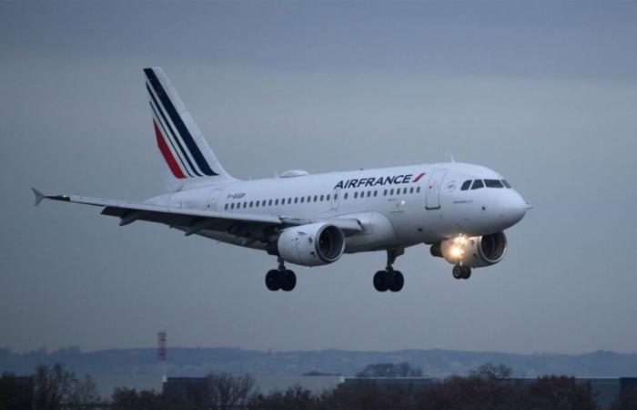 Ein Flug der Air France Paris-Barcelona kehrt nach 17 Flugminuten um