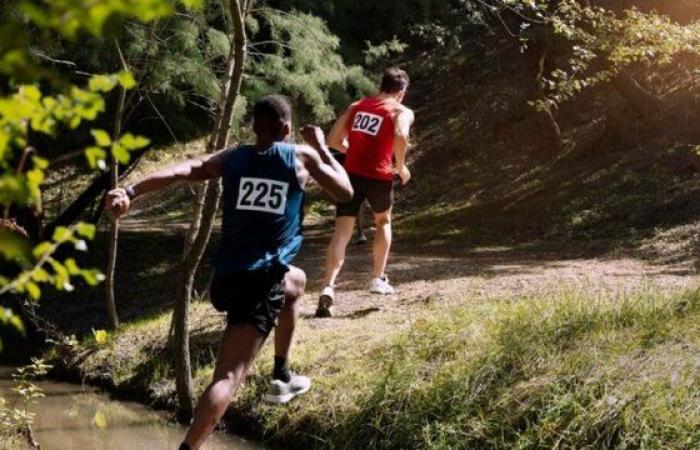 Die faszinierende Welt des Aire Trail – Le Petit Journal