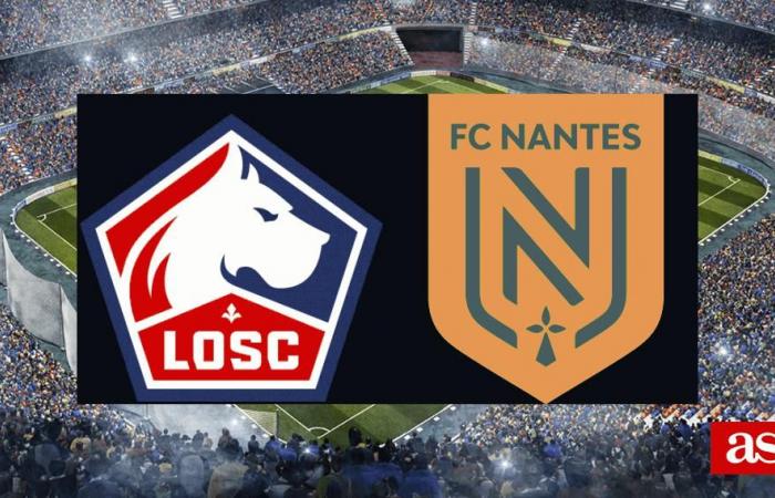 Lille – Nantes 1:1: Ergebnisse, Zusammenfassung und Tore