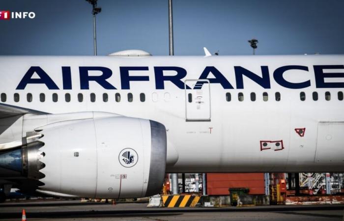 Ein Flugzeug der Air France muss wegen eines Druckproblems in Paris notlanden