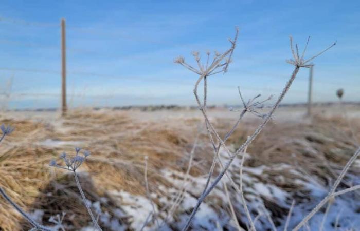 An diesem 4. Januar war es in der Haute-Marne sehr kalt!