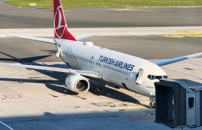 Bettwanzenwarnung auf Flügen von Turkish Airlines