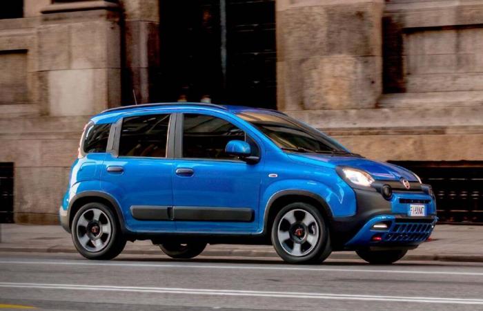 Ohne den Fiat Panda existiert die Marke in Italien nicht mehr – Zahlen für 2024