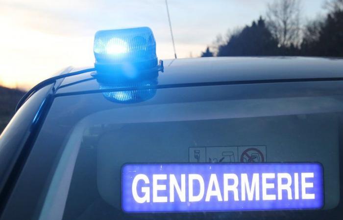 Die Gers-Gendarmerie startet einen Zeugenaufruf