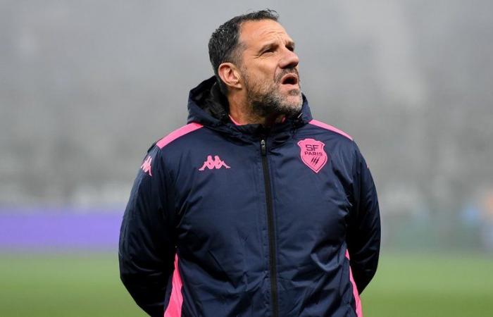 Top 14 – Laurent Labit (Stade français) nach der Ohrfeige gegen UBB: „Ein Gefühl der Schande“