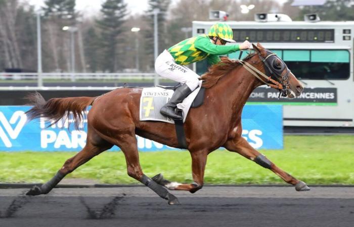 Joumba de Guez setzt seine Meilensteine