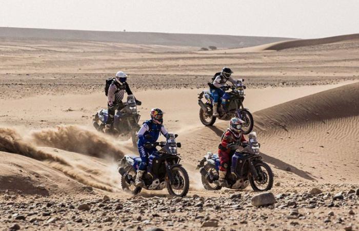 Die „Africa Eco Race“-Rallye macht Halt in Tarfaya