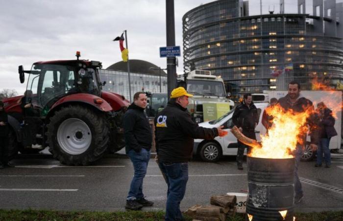 Verbot von Demonstrationen in Rungis und im Zentrum von Paris